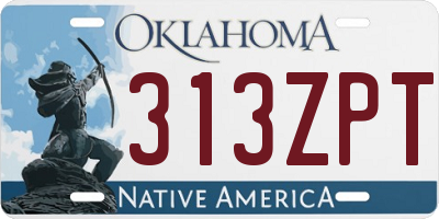 OK license plate 313ZPT