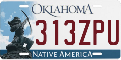 OK license plate 313ZPU