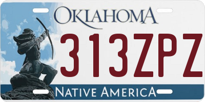 OK license plate 313ZPZ