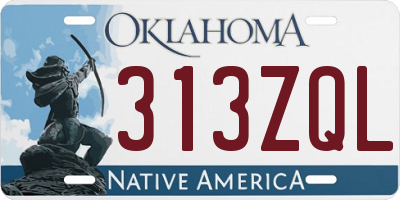 OK license plate 313ZQL
