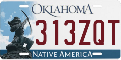 OK license plate 313ZQT