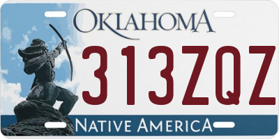 OK license plate 313ZQZ