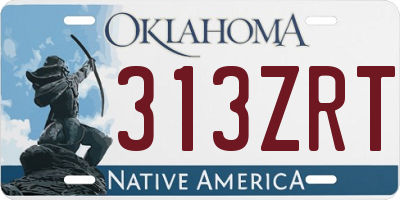 OK license plate 313ZRT