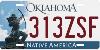 OK license plate 313ZSF