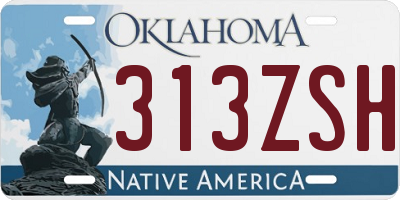 OK license plate 313ZSH