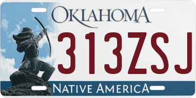 OK license plate 313ZSJ