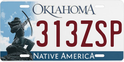 OK license plate 313ZSP