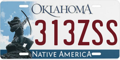 OK license plate 313ZSS