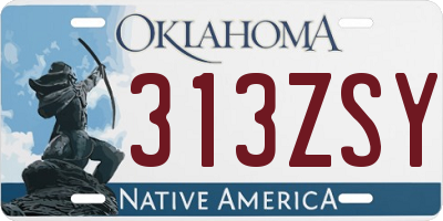OK license plate 313ZSY