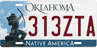 OK license plate 313ZTA