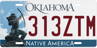 OK license plate 313ZTM