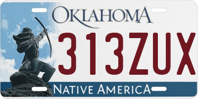 OK license plate 313ZUX