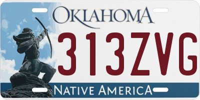 OK license plate 313ZVG