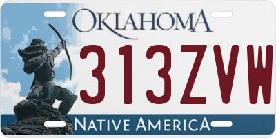 OK license plate 313ZVW