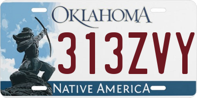 OK license plate 313ZVY