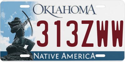 OK license plate 313ZWW