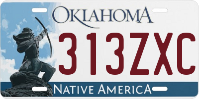 OK license plate 313ZXC