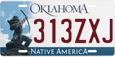 OK license plate 313ZXJ