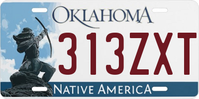 OK license plate 313ZXT