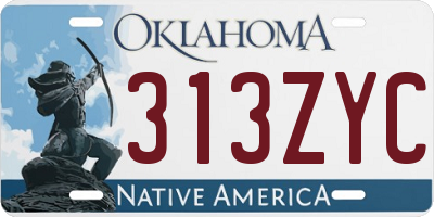 OK license plate 313ZYC