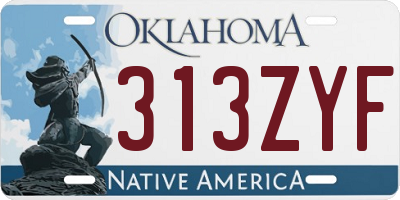 OK license plate 313ZYF