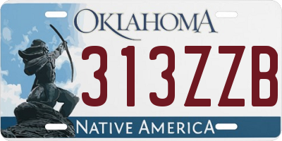 OK license plate 313ZZB