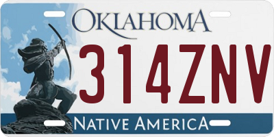 OK license plate 314ZNV