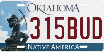 OK license plate 315BUD