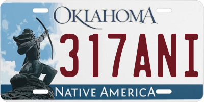 OK license plate 317ANI