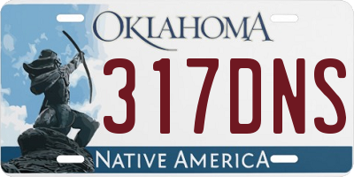 OK license plate 317DNS