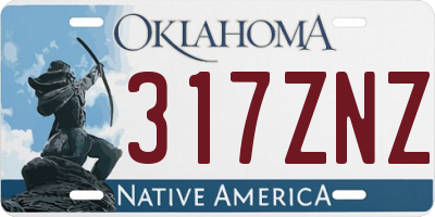 OK license plate 317ZNZ