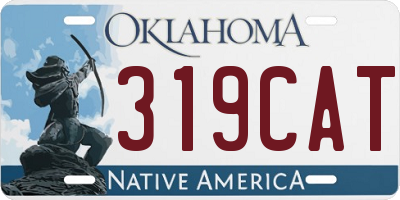 OK license plate 319CAT
