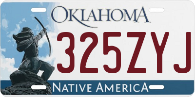 OK license plate 325ZYJ