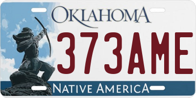 OK license plate 373AME