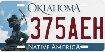 OK license plate 375AEH