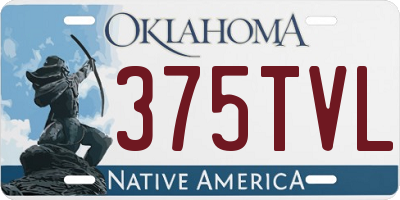OK license plate 375TVL