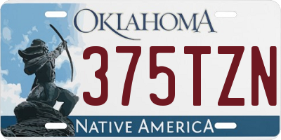 OK license plate 375TZN