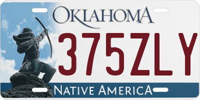 OK license plate 375ZLY
