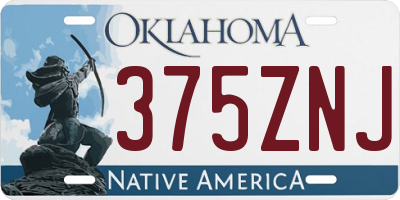 OK license plate 375ZNJ