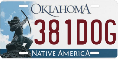 OK license plate 381DOG