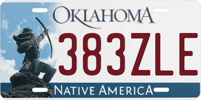 OK license plate 383ZLE