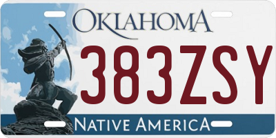 OK license plate 383ZSY