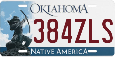OK license plate 384ZLS