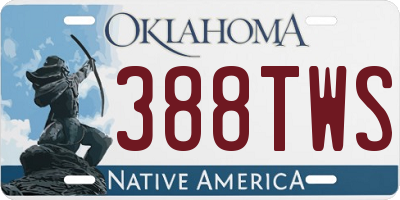 OK license plate 388TWS