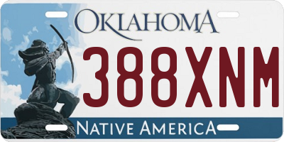 OK license plate 388XNM