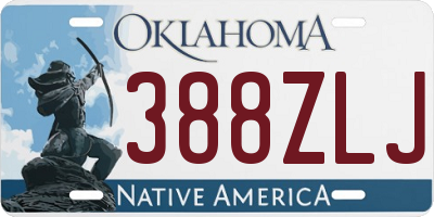 OK license plate 388ZLJ