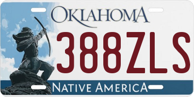 OK license plate 388ZLS