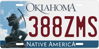 OK license plate 388ZMS