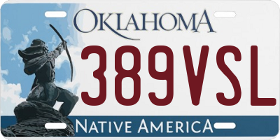 OK license plate 389VSL