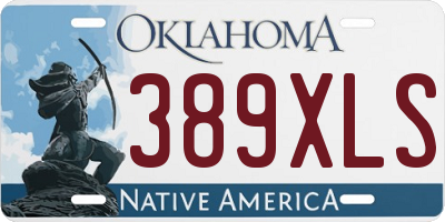 OK license plate 389XLS
